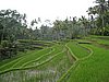 IMG_2537.JPG