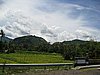 IMG_2547.JPG
