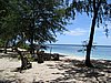 IMG_2576.JPG
