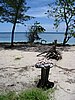 IMG_2577.JPG