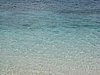 IMG_2583.JPG