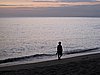 IMG_2590.JPG