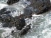 IMG_2591.JPG