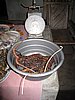 IMG_2610.JPG