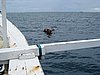 IMG_2617.JPG