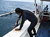 IMG_2618.JPG