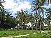 IMG_2633.JPG