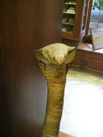 IMG_2687.JPG