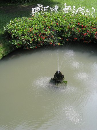 IMG_2690.JPG