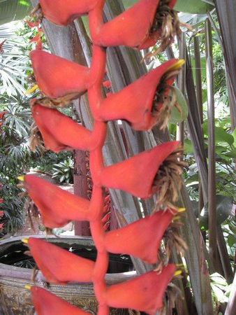 IMG_2713.JPG