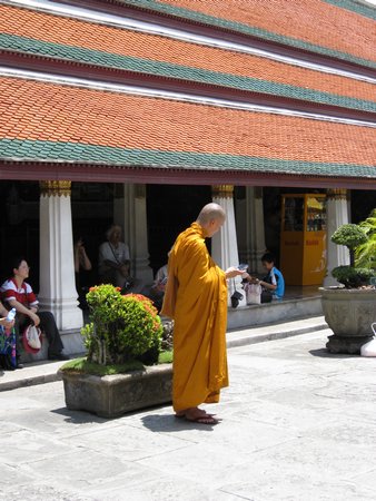 IMG_2798.JPG