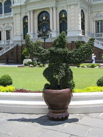 IMG_2817.JPG