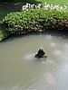IMG_2690.JPG