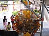 IMG_2768.JPG