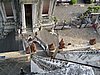 IMG_2776.JPG
