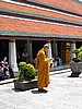 IMG_2798.JPG