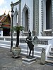 IMG_2806.JPG