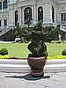 IMG_2817.JPG
