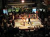 IMG_2867.JPG