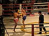 IMG_2871.JPG