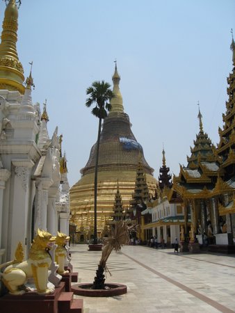 IMG_2933.JPG
