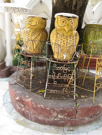 IMG_2940.JPG