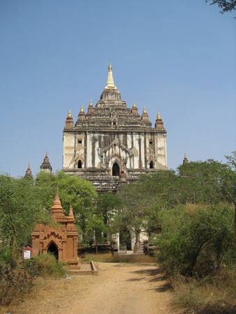 IMG_2994.JPG