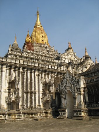 IMG_3006.JPG