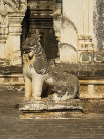 IMG_3007.JPG