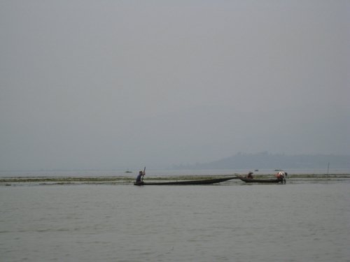 IMG_3081.JPG