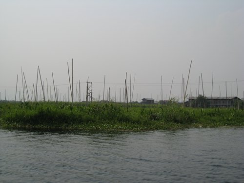 IMG_3135.JPG