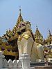 IMG_2915.JPG
