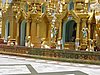 IMG_2920.JPG