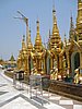 IMG_2921.JPG