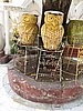 IMG_2940.JPG