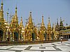 IMG_2946.JPG