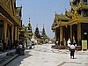 IMG_2952.JPG