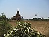 IMG_2980.JPG