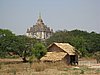 IMG_2992.JPG