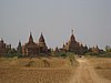 IMG_3005.JPG