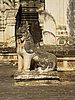 IMG_3007.JPG