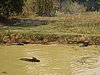 IMG_3039.JPG