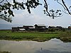 IMG_3041.JPG