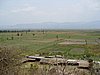 IMG_3046.JPG