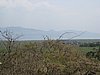 IMG_3048.JPG
