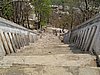IMG_3049.JPG