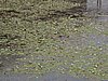 IMG_3052.JPG