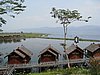 IMG_3053.JPG