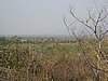 IMG_3057.JPG