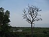 IMG_3059.JPG